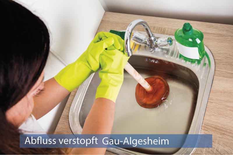 Abfluss verstopft Gau-Algesheim