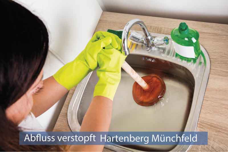 Abfluss verstopft Hartenberg Münchfeld