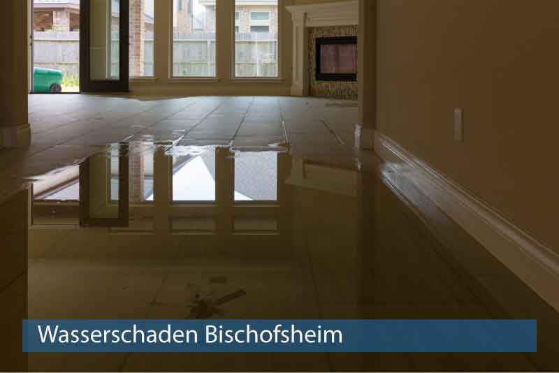 Wasserschaden Bischofsheim