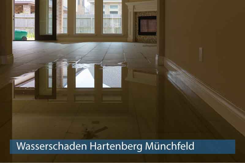Wasserschaden Hartenberg Münchfeld
